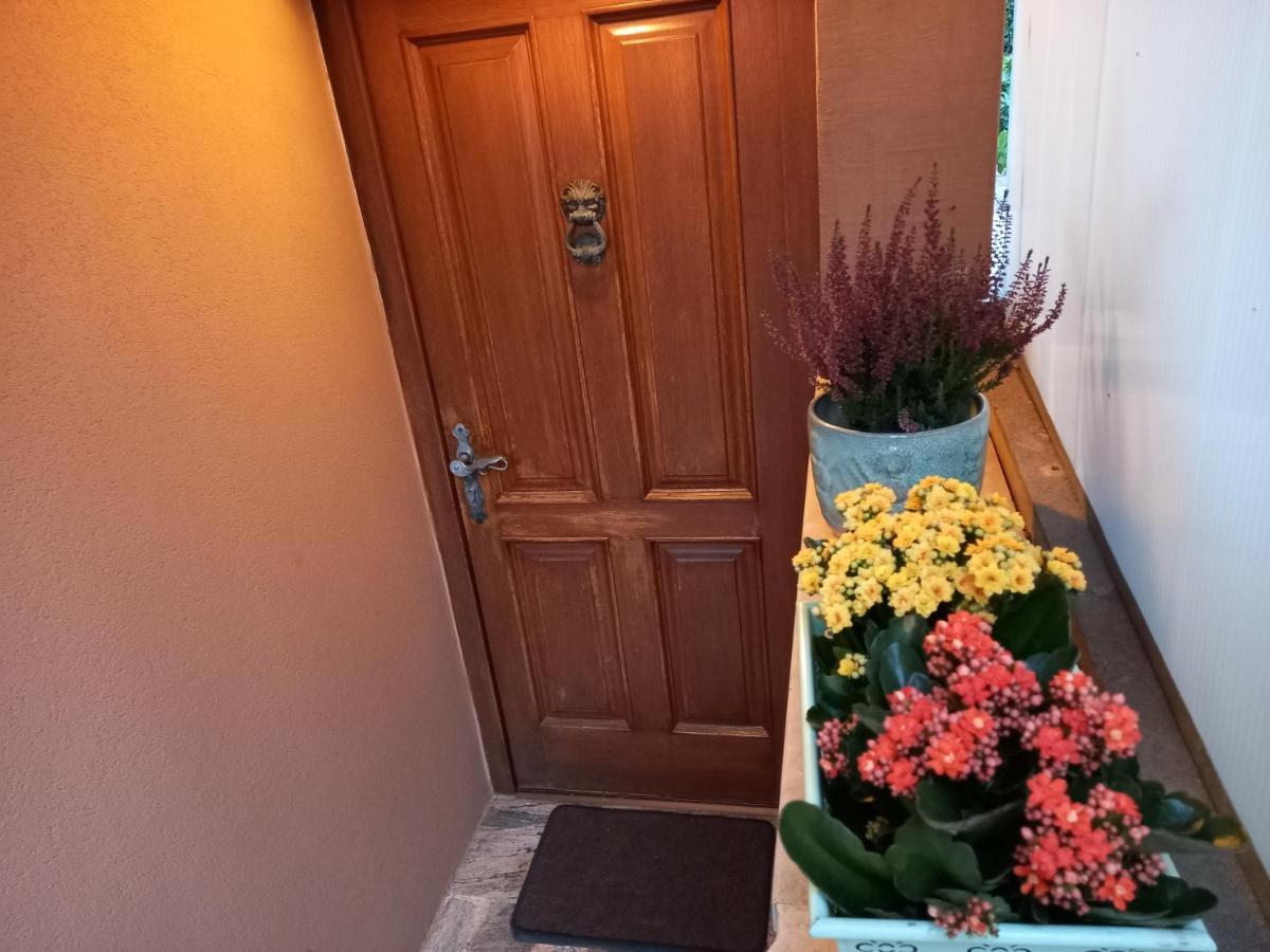 Blue Deer Appartement Umag Buitenkant foto