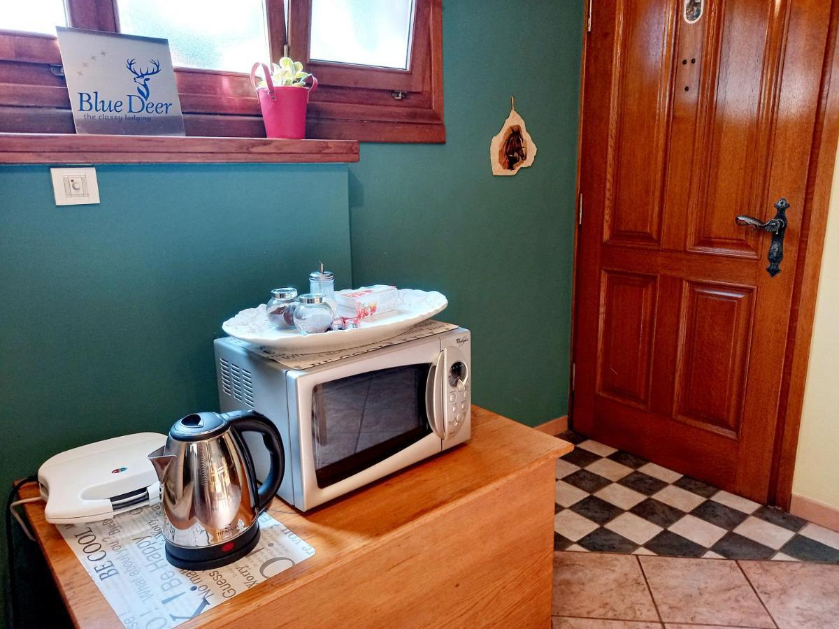 Blue Deer Appartement Umag Buitenkant foto